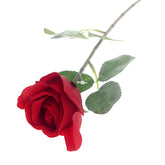 SINGE ECUADOR ROSE 1F 6LVS (V1P156) Unspecified